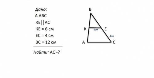 СОР! Дано: В∆ АВС КЕ АС КЕ = 6 см К 6см Е ЕС = 4 см 4см ВС = 12 см А С Найти: АС -?​