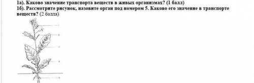 Каково значение транспорта веществ в живых организмах? Рассмотрите рисунок, назовите орган под номер