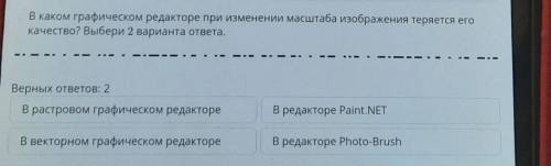 В каком графическом редакторе при изменении масштаба ихображения теряется его качество? выбери 2 вар