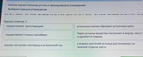 Вете. Импортировать закладки ТЕКСТ ЗАДАНИЯУченик изучал строение устьиц и сформулировал утверждения.