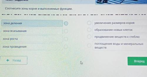 ТЕКСТ ЗАДАНИЯ Соотнесите зоны корня и выполняемые функции.зона деленияо увеличение размеров корняобр