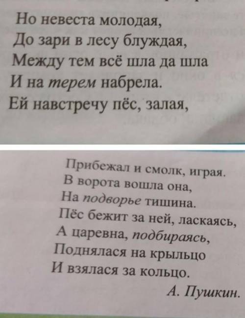 Объясните значение выделенных слов. Какие это слова? Когда употребляются? Приведите несколько своих