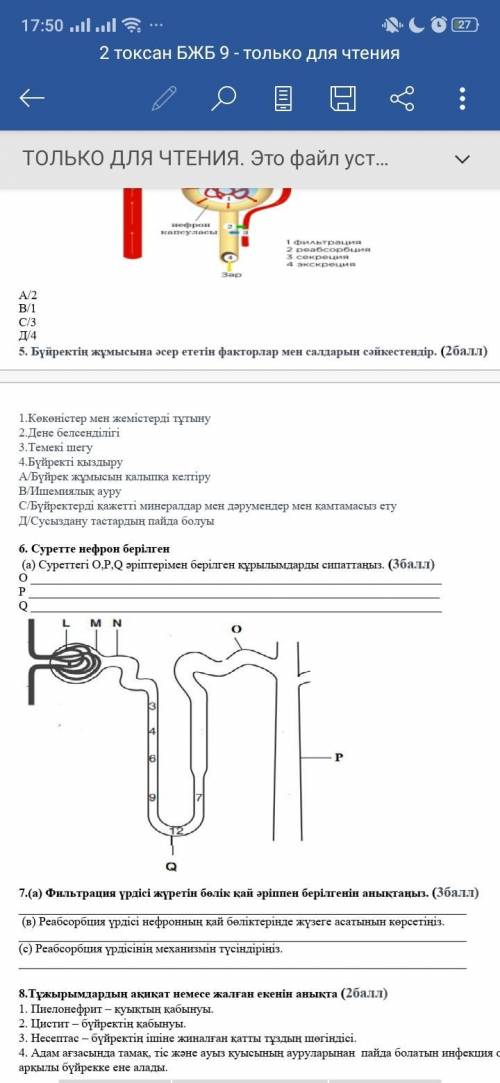 (a) Опишите конструкции, представленные на рисунке буквами O, P, Q.