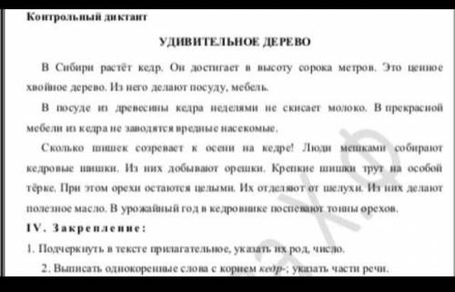 руссий язык сделайте закрепление правильно сделайте