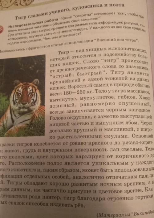 Живопись Рассмотрите иллюстрацию, сделанную самим У. Блейком. Опишите тигра.Какую цветовую гамму исп