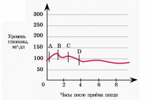 На графике показано изменение уровня глюкозы в крови в течение нескольких часов после приема пищи. О