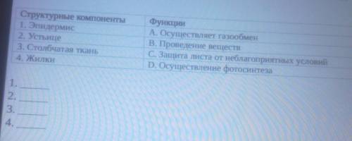 Найдите соответствие между структурными компонентами листа и их функциями нужно это ссор ​