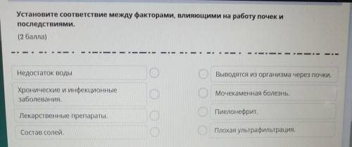 Установите соответствие между факторами, влияющими на работу почек и последствиями.( )1. Недостаток