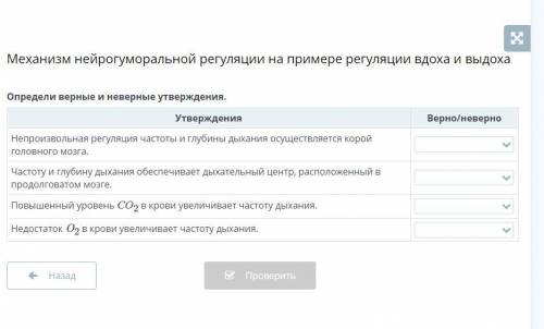 Роль высшей нервной деятельности в организме человека Мгновения в кадре balalaik