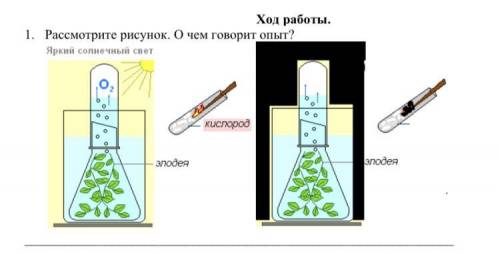 Рассмотрите рисунок. О чем говорит опыт?