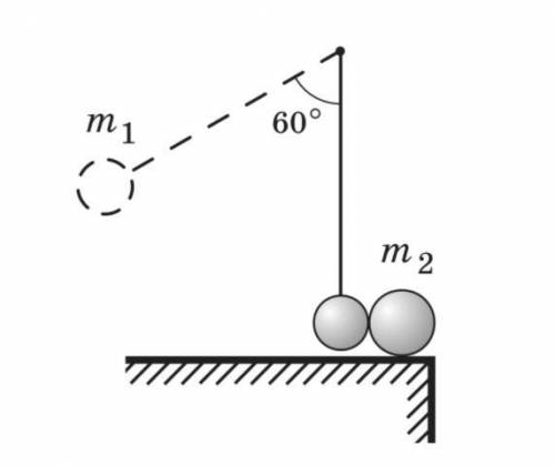 Шарик массой m1, равной 1 кг, висит на нити длиной 0,5 м. Его отклоняют так, что нить составляет с в
