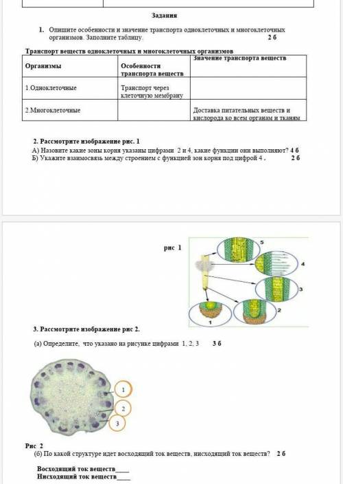 У МЕНЯ СОР ИДЕТ ​класс мне не кто не ответит