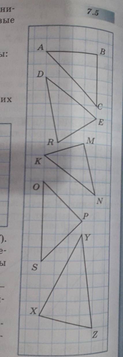 Найдите на рисунке 7.5 равнобедренные треyгольники и скопируйте их в тетрадь. Укажите боковые сторон