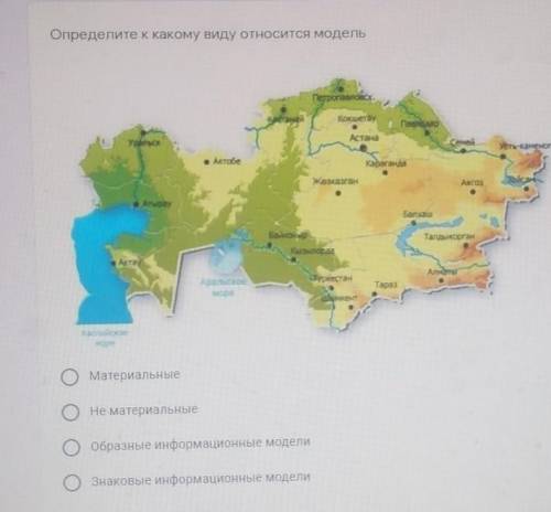 Определите к какому виду относится модель​