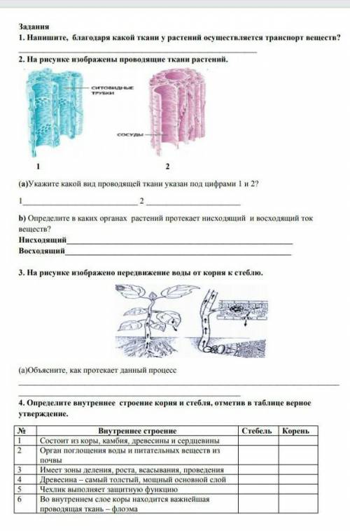 надо через 20 минут здавать только честно