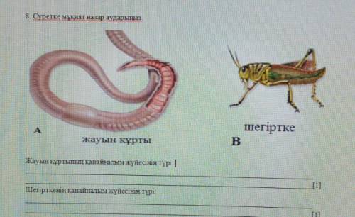 Жауын куртынын кан айналым жуыесынын туры ☹️​