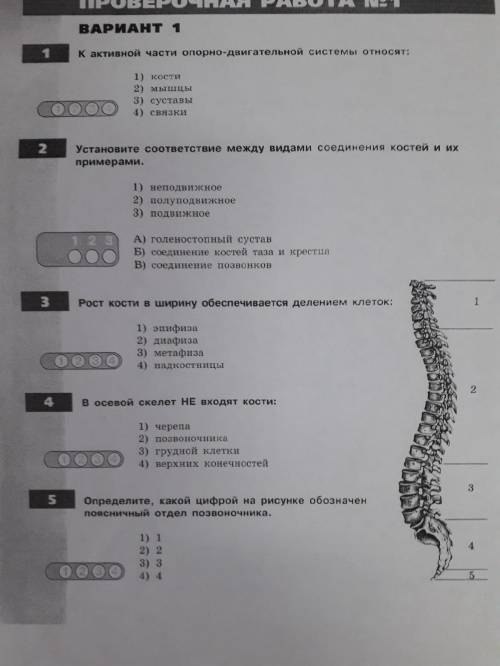 решить тест со 2 по 5 задание