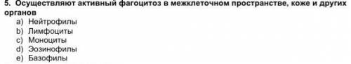 Осуществляют активный фагоцитоз в межклеточном пространстве, коже и других органов.​