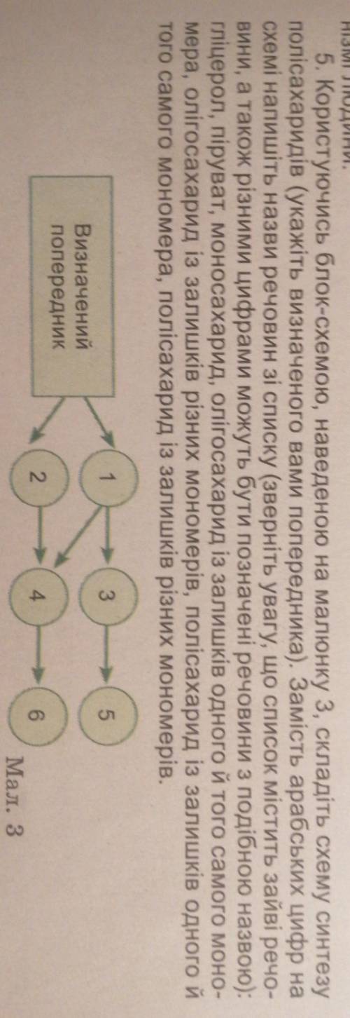 Нізмі людини. 5. Користуючись блок-схемою, наведеною на малюнку 3, складіть схему синтезуполісахарид