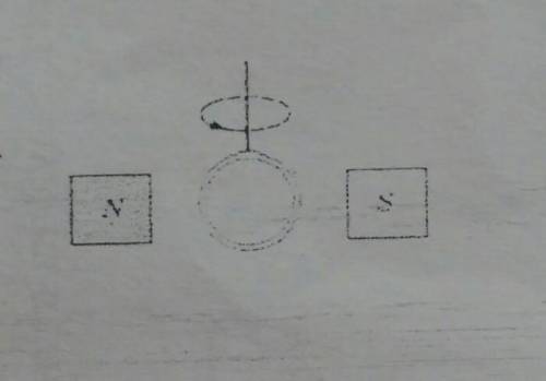 Кольцо из медной проволоки быстро вращается между полюсами сильного магнита (см. рисунок).Будет ли п
