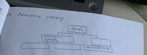 Составьте схему из чего состоит кровь