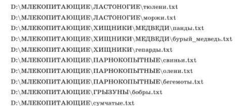 Даны полные имена файлов, хранящихся на диске D. Изобразите соответствующую файловую структуру