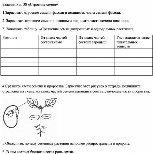 Задания к теме Строение семян