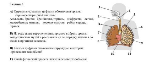 Можете с биологией буду благодарен.