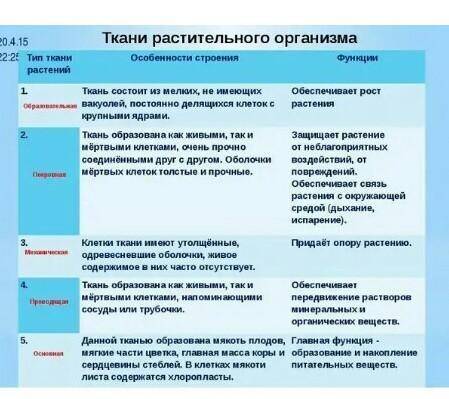 Расскажите кратко и понятно об этих тканях. механическая проводящая запасающая покровная фотосинтези