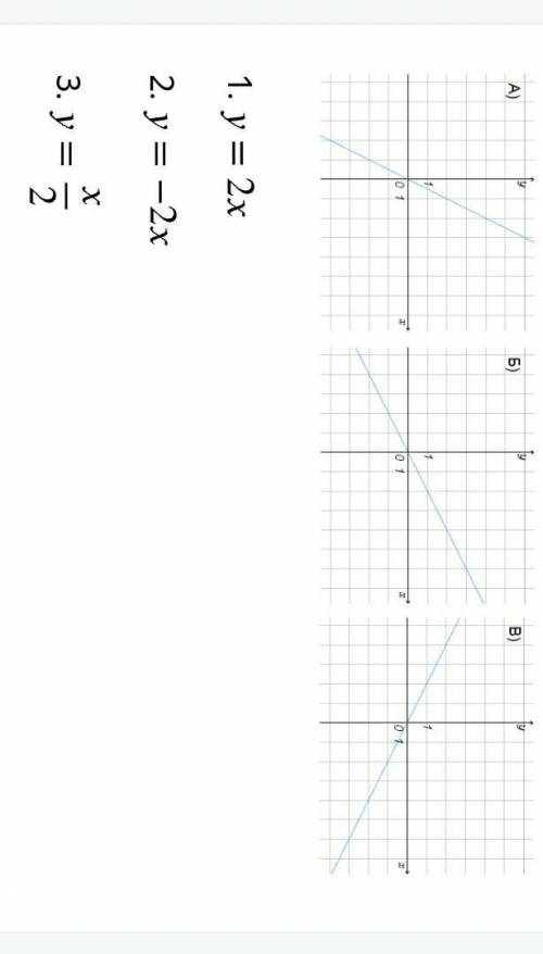 Y=2x, y=-2x, y=x/2, y=-x/2