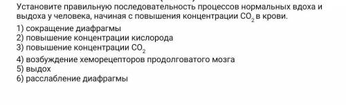 установите правильную последовательность процессов нормальных вдоха и выдоха у человека, начиная с п