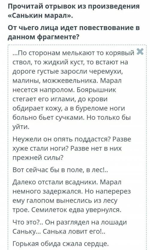 От чего лица идёт повествование в данном фрагменте.​