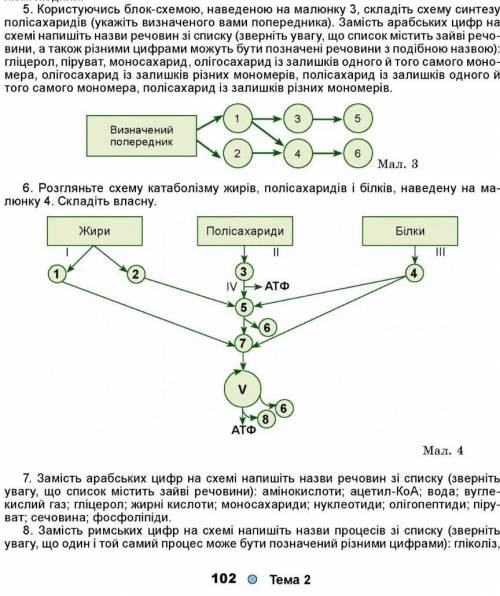 Схема синтезу білків,жирів і вуглеводівв організмі людини​