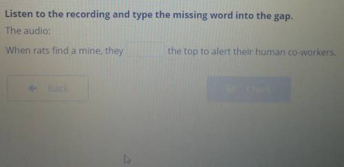 Listen to the recording and type the missing word into the gap. The audio:When rats find a mine, the