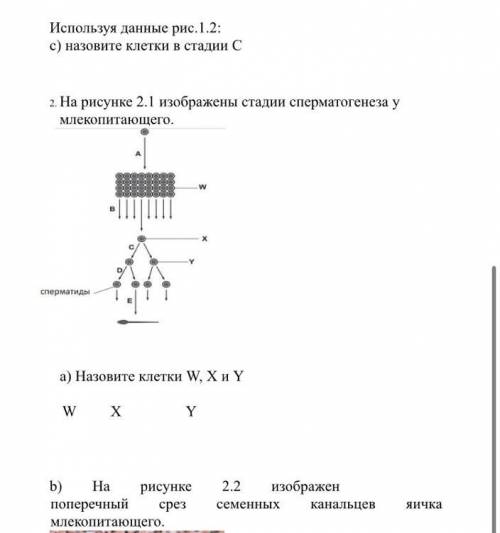 Суммативное оценивание за раздел «11.2 В Размножение» 11 класс 1.​На​рисунке​1.1​изображена​микрофот