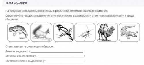 На рисунках изображены организмы в различной естественной среде обитания. Сгруппируйте продукты выде