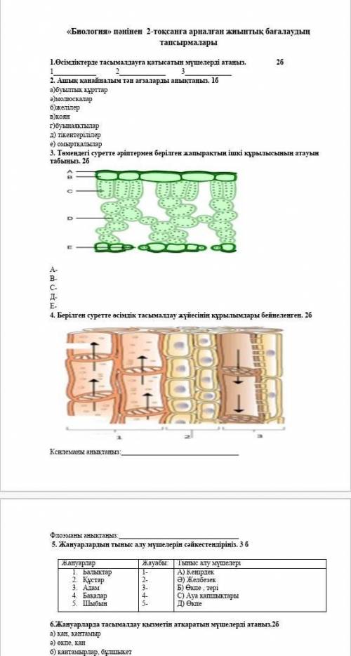 Биология ТЖб Беріндерш Болса​