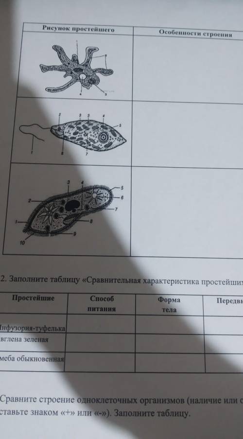 Лабораторная работа N1 7 Класс. изучение строения и передвижения одноклеточных животных, решите в 2