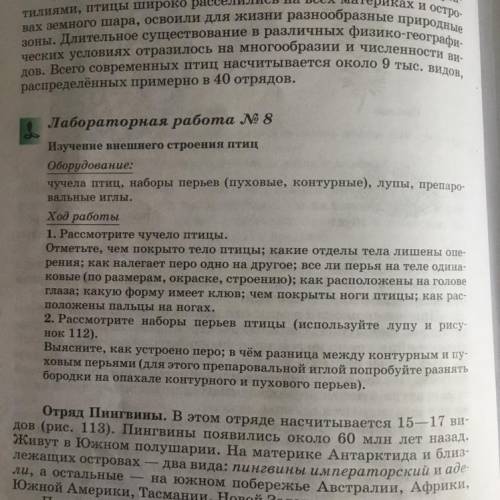 Лабораторня работа №8 По рисунку птицы «Куропатка каменная (кеклик)стр.149»