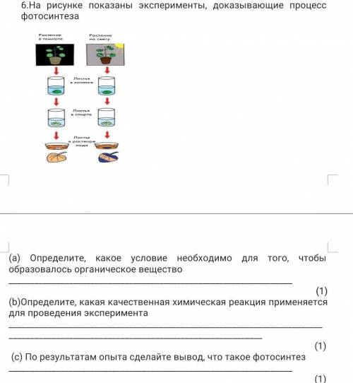 На рисунке показаны эксперименты доказывающие процесс фотосинтеза​