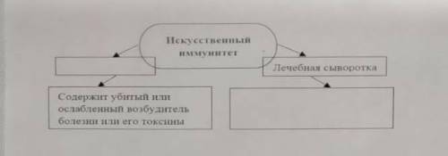 Заверши состовление схемы искусственный иммунитет лечебная сыворотка я уже задалбалась и хочу спать: