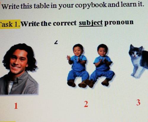 Witte tristöttem you copykand learnit,Task 1 Write the correst subject pronoun​