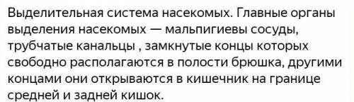 Как работает выделительная система насекомых​