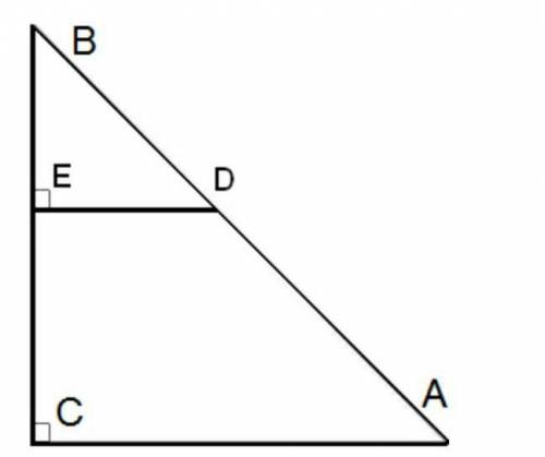 Дано: ΔDBE∼ΔABC,CB= 30, ED= 5, CA= 25.Найти: BE= .​