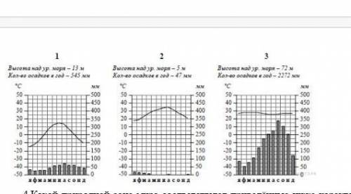 Рассмотрите рисунки с изображением климатограмм, построенных по данным метеонаблюдений в разных част