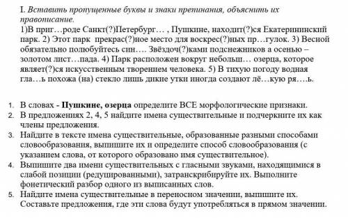 Контрольная Имя существительное 6 класс (УМК под редакцией М.М. Разумовской) решите умоляю дай бог