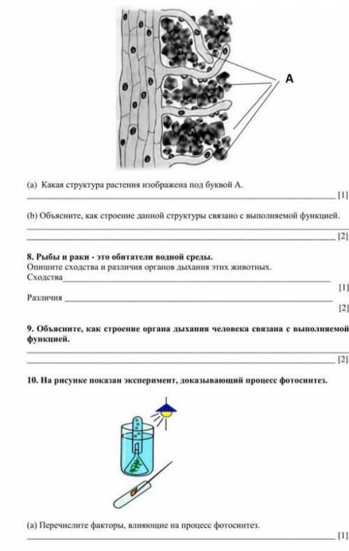 3часть Соча по биологии что попало БАН​