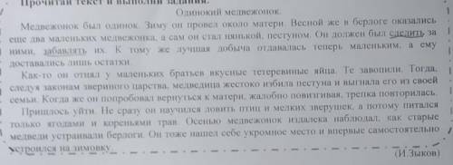 Текст с верху Письмо. Составь и запиши план к прочитанному тексту.План1)2)3)​