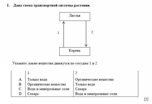 1. Дана схема транспортной системы растения.Укажите, какие вещества движутся по сосудам 1 и 2. ​