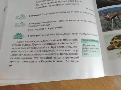 4- тапсырма. Мәтінді оқып, төмендегі қойыңдар. Мазмұны айтындар. даю 10 б